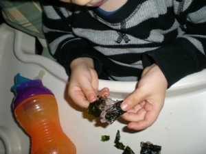 Inspecting the Rice in Seaweed