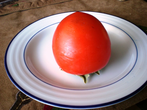 Persimmon1
