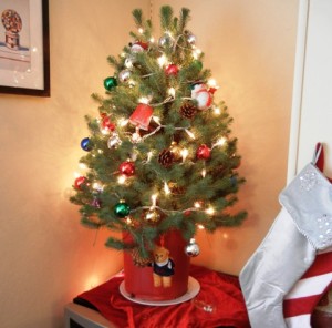 The little tree.