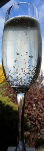 Villa Carlotti Prosecco
