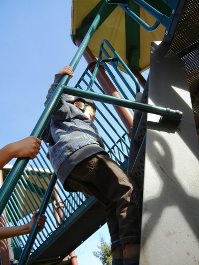 Climbing up.