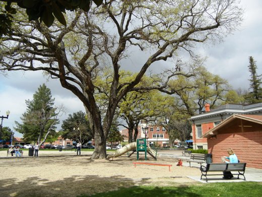 Paso Robles park.