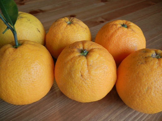 Oranges