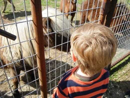 Giving a go at feeding.