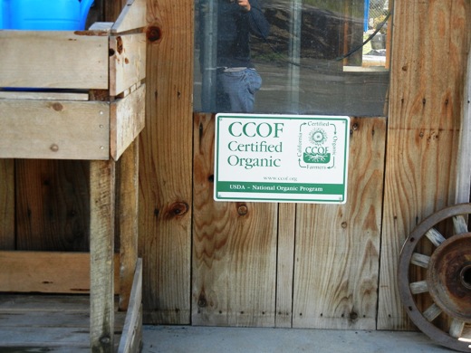 Organic.