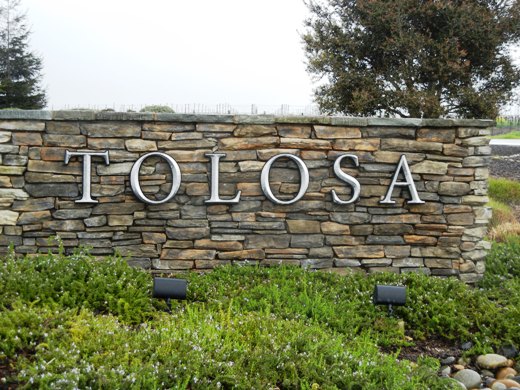 Tolosa sign.